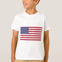 Bandera bandera americana de los Estados Unidos -