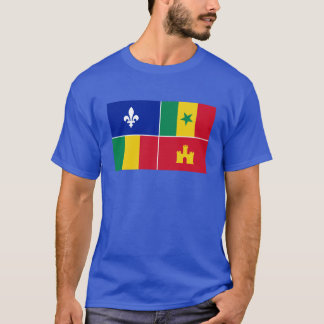 Camiseta Bandera criolla sobredimensionada