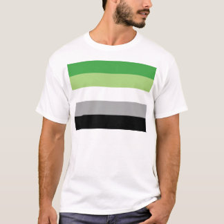 Camiseta Bandera de Aromantic