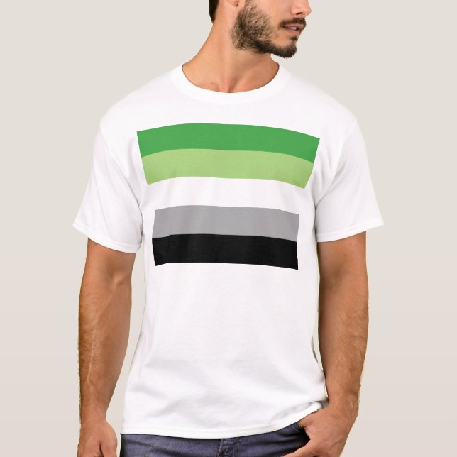 Camiseta Bandera de Aromantic (Anverso)