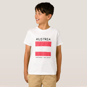 Camiseta Bandera de Austria