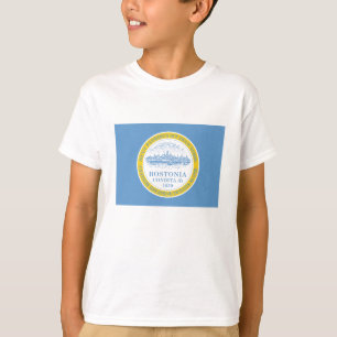 Camiseta Bandera de Boston