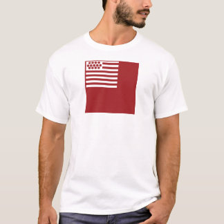 Camiseta Bandera de Brandywine