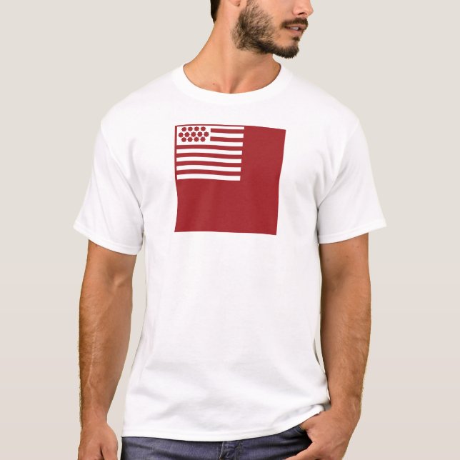 Camiseta Bandera de Brandywine (Anverso)