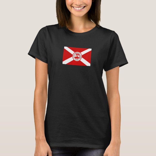 Camiseta Bandera de Cooper City Florida (Anverso)