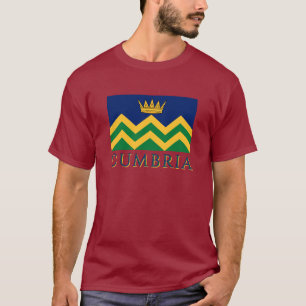 Camiseta Bandera de Cumbria (a partir de 2025)