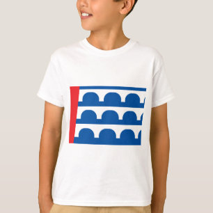 Camiseta Bandera de Des Moines