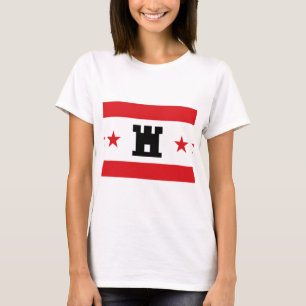 Camiseta Bandera de Drenthe