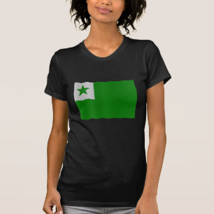 Camiseta Bandera de esperanto
