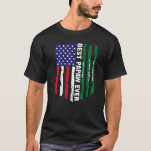 Camiseta Bandera De Estados Unidos Y Bandera De Arabia Saud