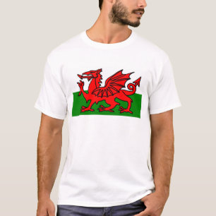 Camiseta Bandera de Gales