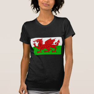 Camiseta Bandera de Gales / Gales - Imagen de alta calidad