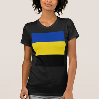 Camiseta Bandera de Gelderland