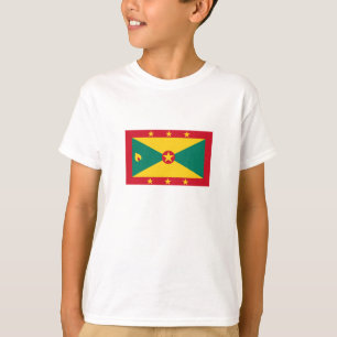 Camiseta Bandera de Granada
