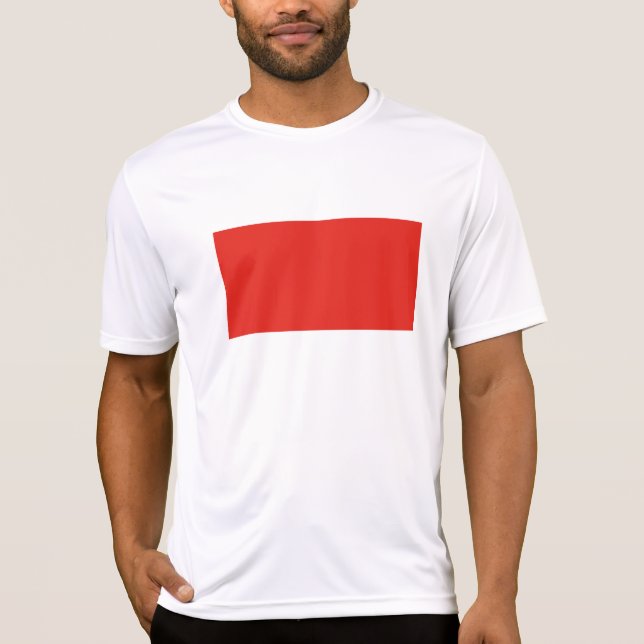 Camiseta Bandera de Indonesia (Anverso)