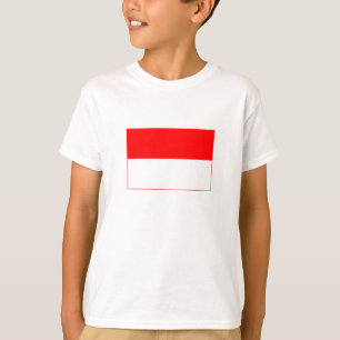 Camiseta Bandera de Indonesia
