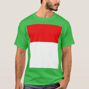 Camiseta Bandera de Indonesia