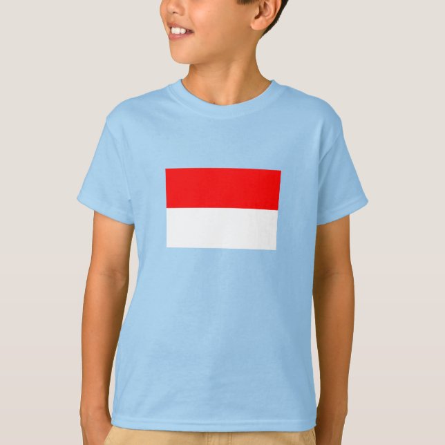 Camiseta Bandera de Indonesia (Anverso)