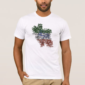 CAMISETA BANDERA DE IRÁN