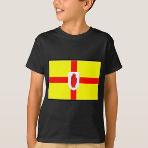 Camiseta Bandera de Irlanda del Norte (Ulster)
