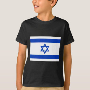 Camiseta Bandera de Israel