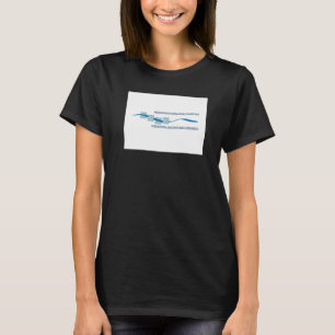 Camiseta Bandera de la Comisión Internacional de la Cuenca 