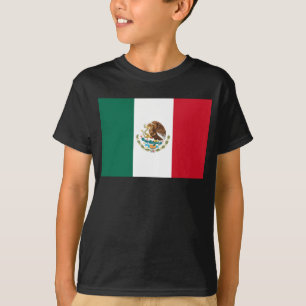 Camiseta Bandera de la República Mexicana