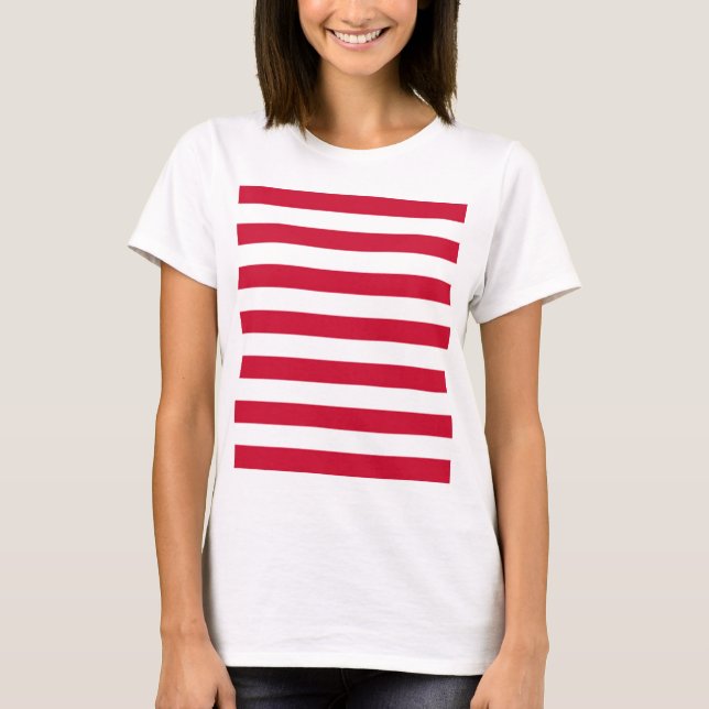 Camiseta Bandera de los Goes (Anverso)