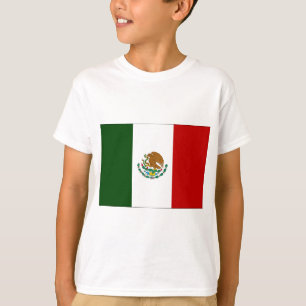 Camiseta bandera de México