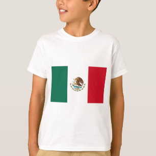 Camiseta Bandera de México