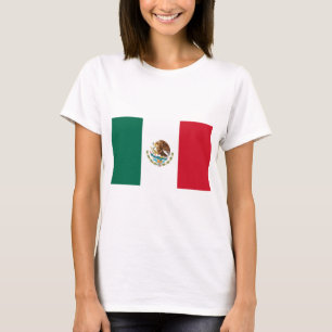 Camiseta Bandera de México