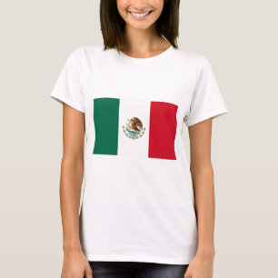 Camiseta Bandera de México