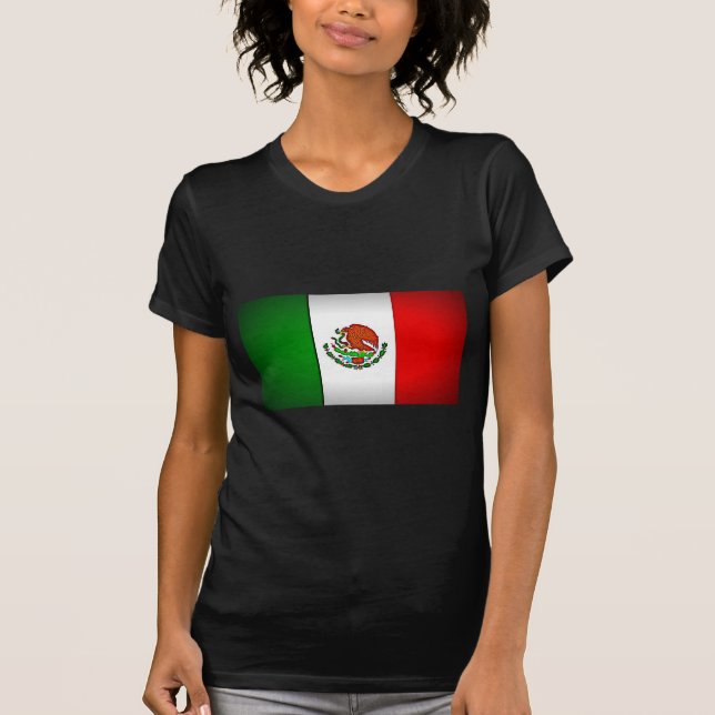 Camiseta Bandera de México estilizada (Anverso)