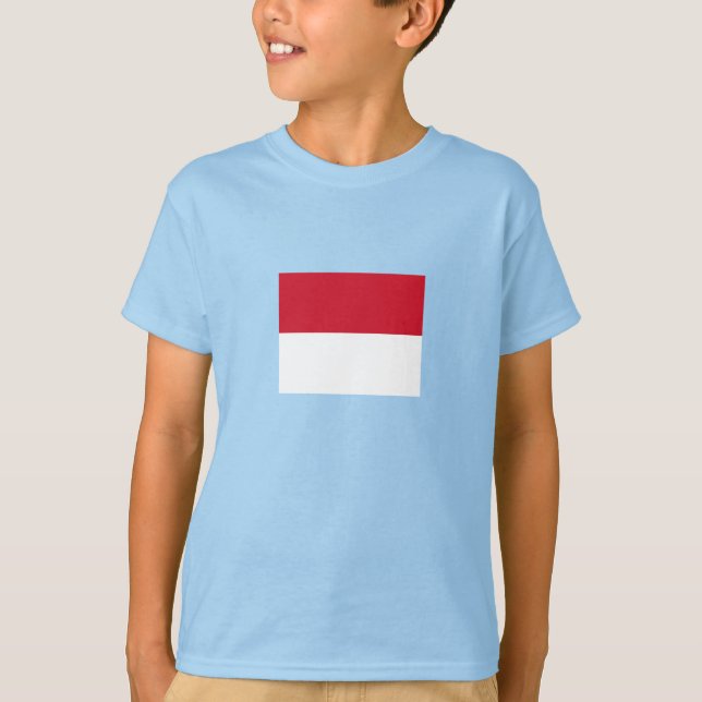 Camiseta Bandera de Mónaco (Anverso)