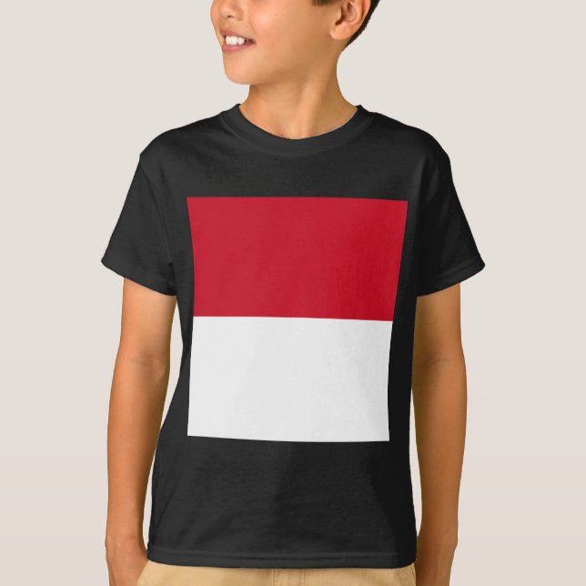 Camiseta Bandera de Mónaco (Anverso)