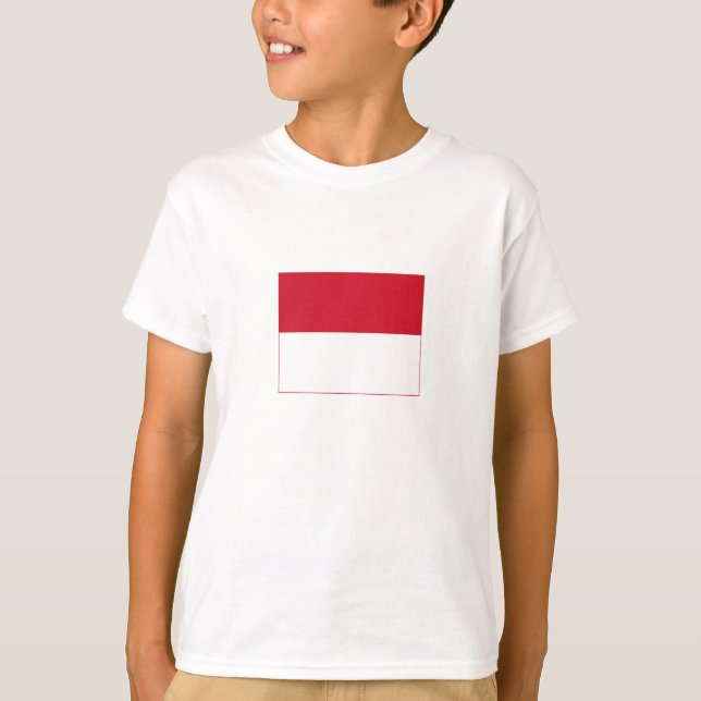 Camiseta Bandera de Mónaco (Anverso)