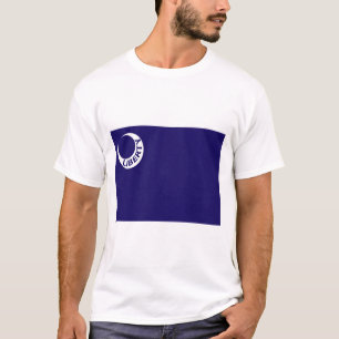 Camiseta Bandera de Moultrie (Libertad) (Historia de los Es