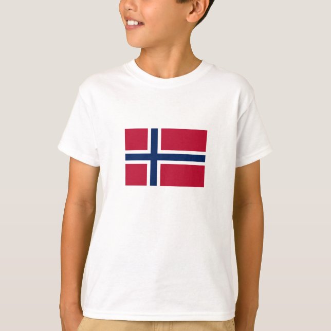 Camiseta Bandera de Noruega (Anverso)