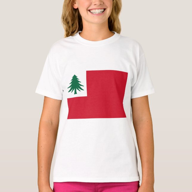 Camiseta Bandera de Nueva Inglaterra (Anverso)