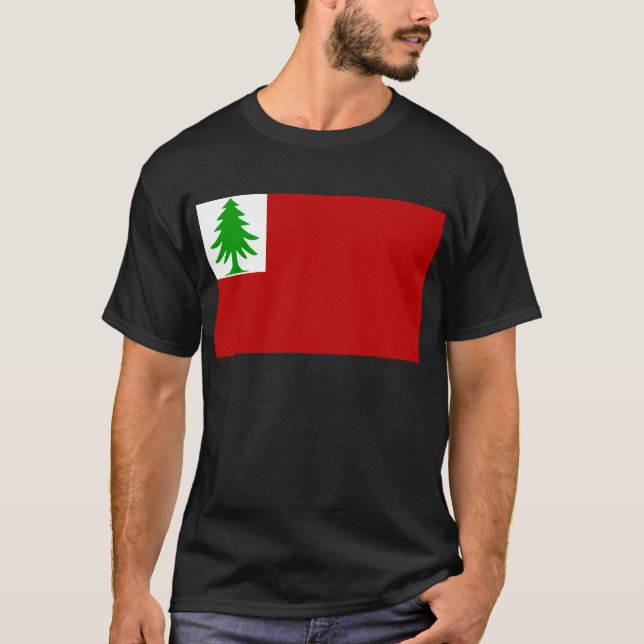 Camiseta Bandera de Nueva Inglaterra (Anverso)