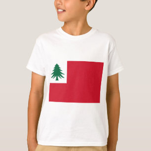Camiseta Bandera de Nueva Inglaterra