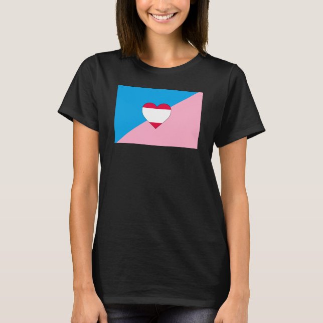 Camiseta Bandera de Orgullo de Age Play (Anverso)