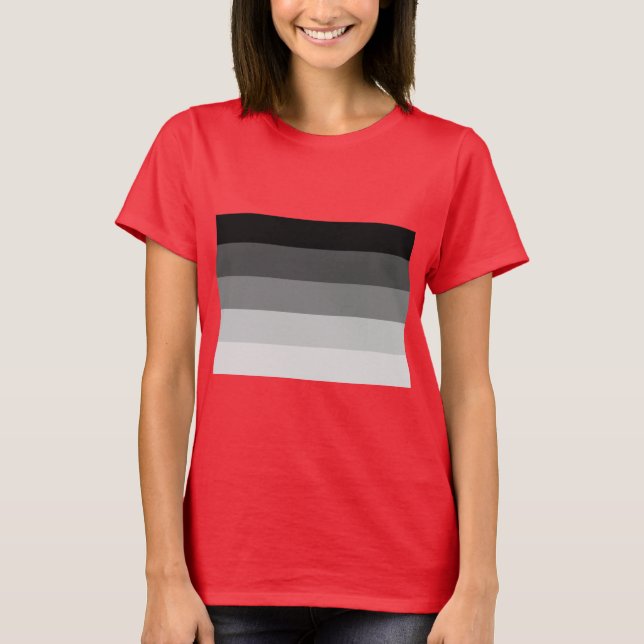 CAMISETA BANDERA DE ORGULLO DIRECTO OFICIAL (Anverso)