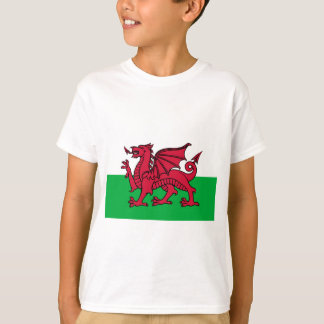 Camiseta Bandera de País de Gales