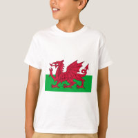 Bandera de País de Gales - el dragón rojo - Baner