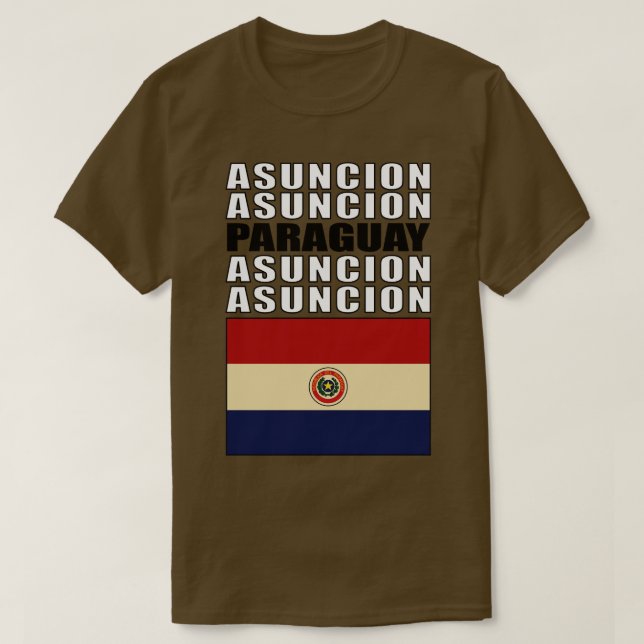 Camiseta Bandera de Paraguay (Diseño del anverso)