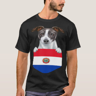 Camiseta Bandera De Paraguay Perro De Gris Italiano En Bols