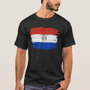 Camiseta Bandera De Paraguay Vintage Para Paraguayos