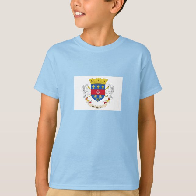 Camiseta Bandera de San Bartolomé (Anverso)