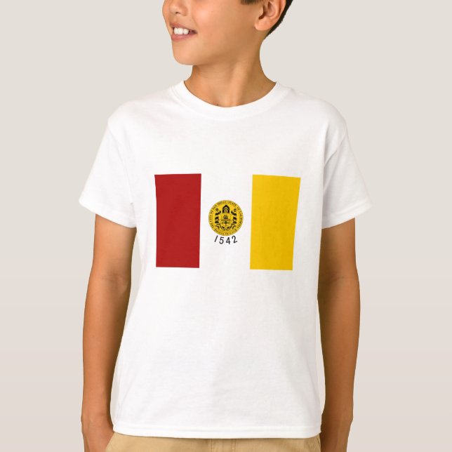 Camiseta Bandera de San Diego (Anverso)